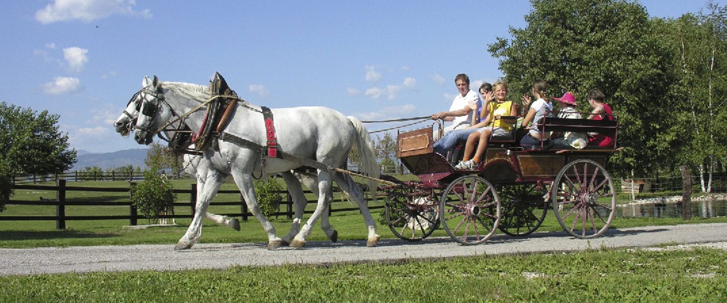 Passeggiata in carrozza